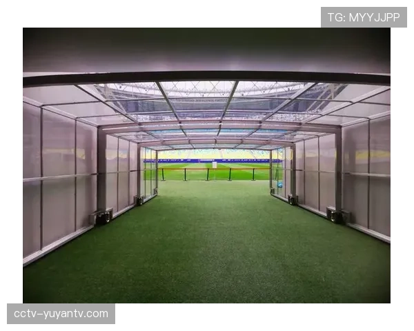 球迷起诉场馆管理方,称座位设计导致其未能避开高速飞出边线的球 球迷起诉场馆管理方,称座位设计导致其未能避开高速飞出边线的球